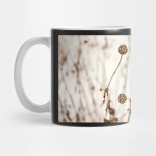 Seed head Mug